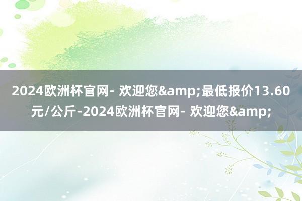 2024欧洲杯官网- 欢迎您&最低报价13.60元/公斤-2024欧洲杯官网- 欢迎您&