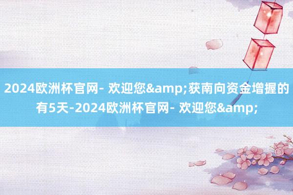 2024欧洲杯官网- 欢迎您&获南向资金增握的有5天-2024欧洲杯官网- 欢迎您&