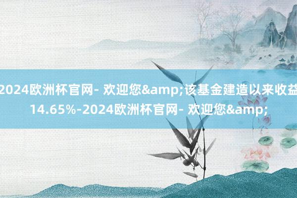 2024欧洲杯官网- 欢迎您&该基金建造以来收益14.65%-2024欧洲杯官网- 欢迎您&