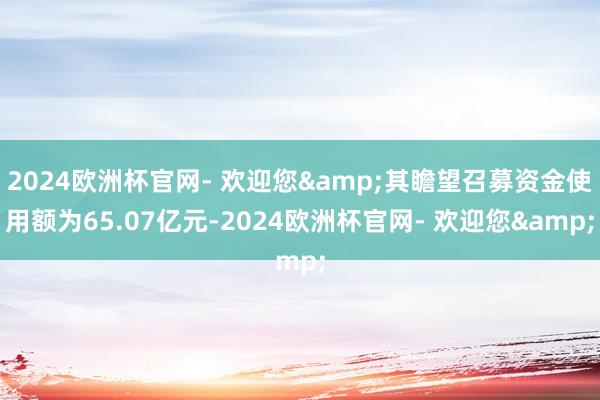 2024欧洲杯官网- 欢迎您&其瞻望召募资金使用额为65.07亿元-2024欧洲杯官网- 欢迎您&